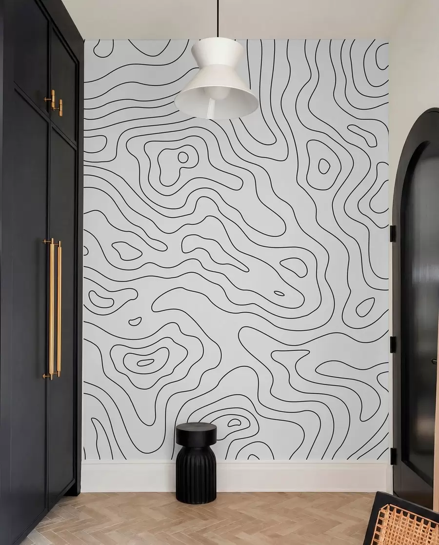 murales de pared mapa topográfico u70650