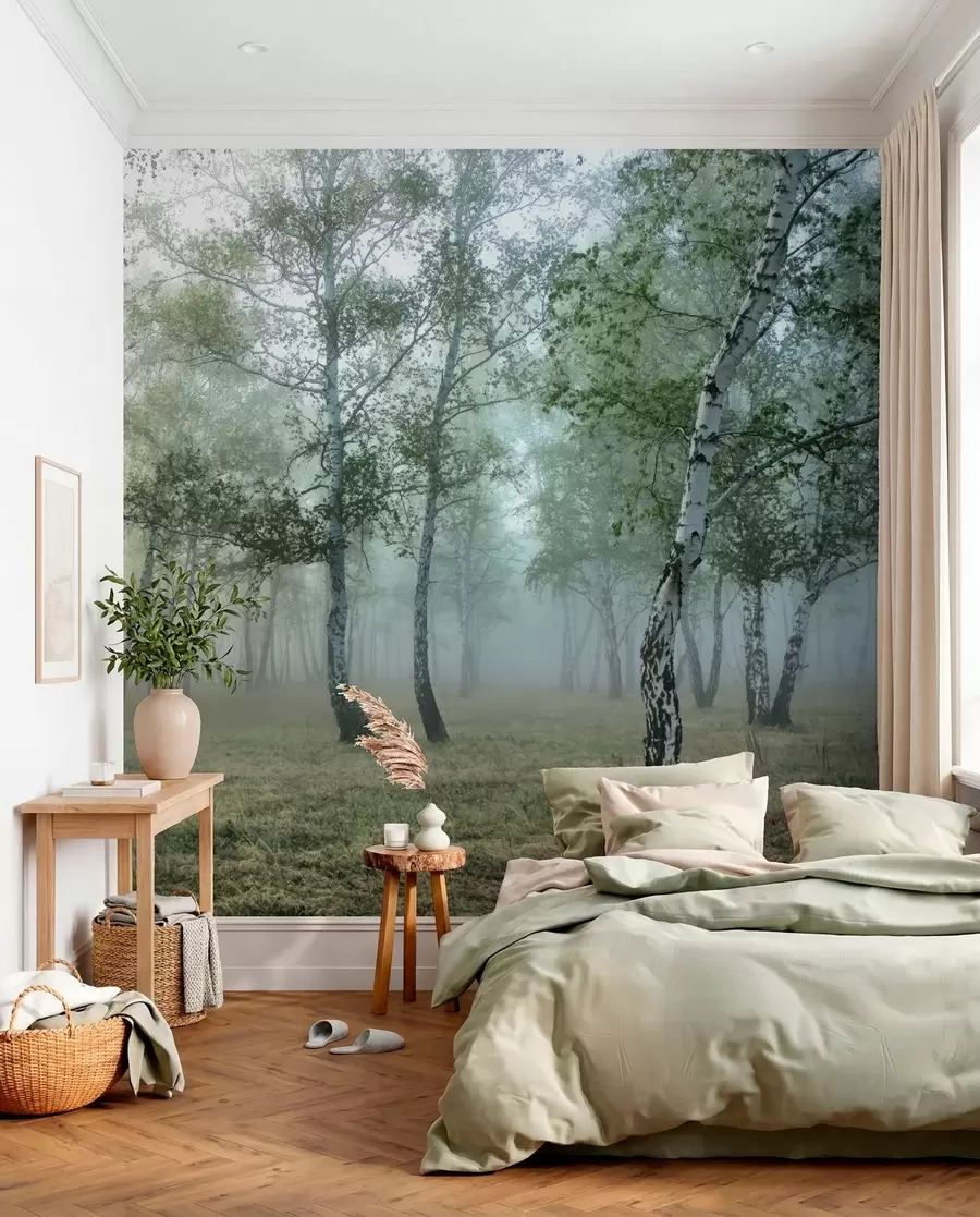 murales de pared Bosque de abedules de niebla u25820