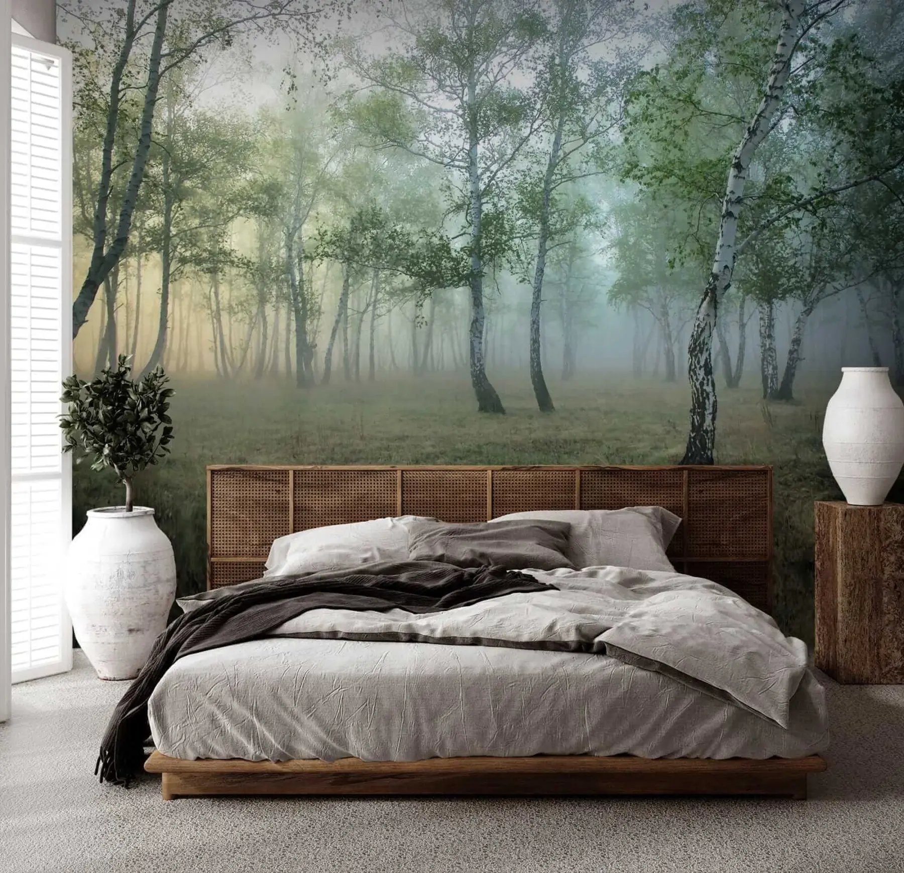 murales de pared Bosque de abedules de niebla u25820