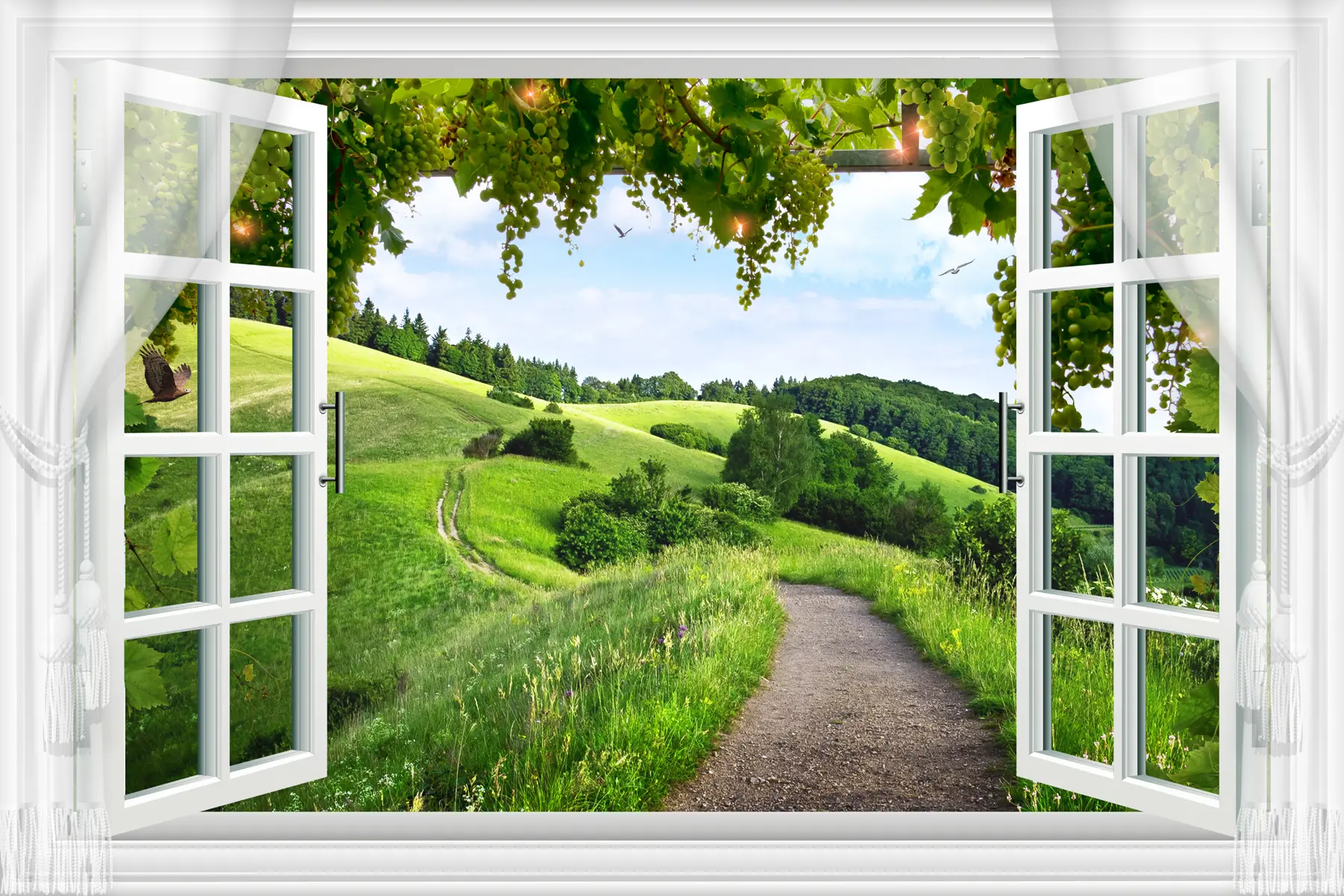 murales de pared Vista desde la ventana al claro u28196
