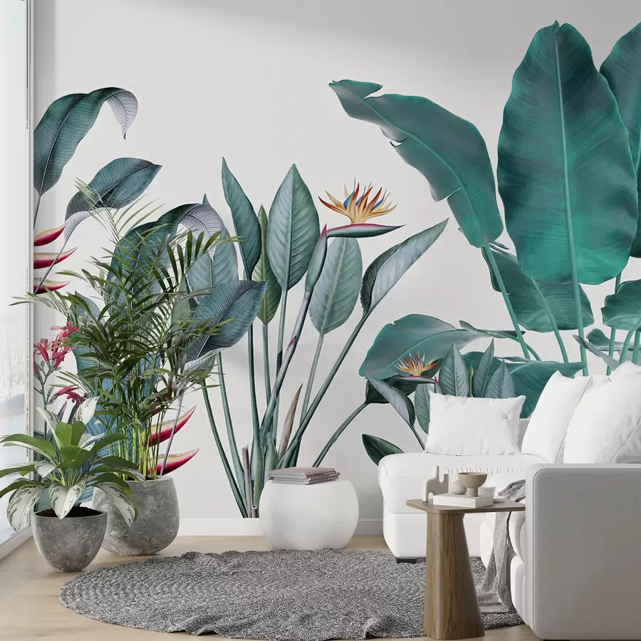murales de pared Plantas tropicales u29493