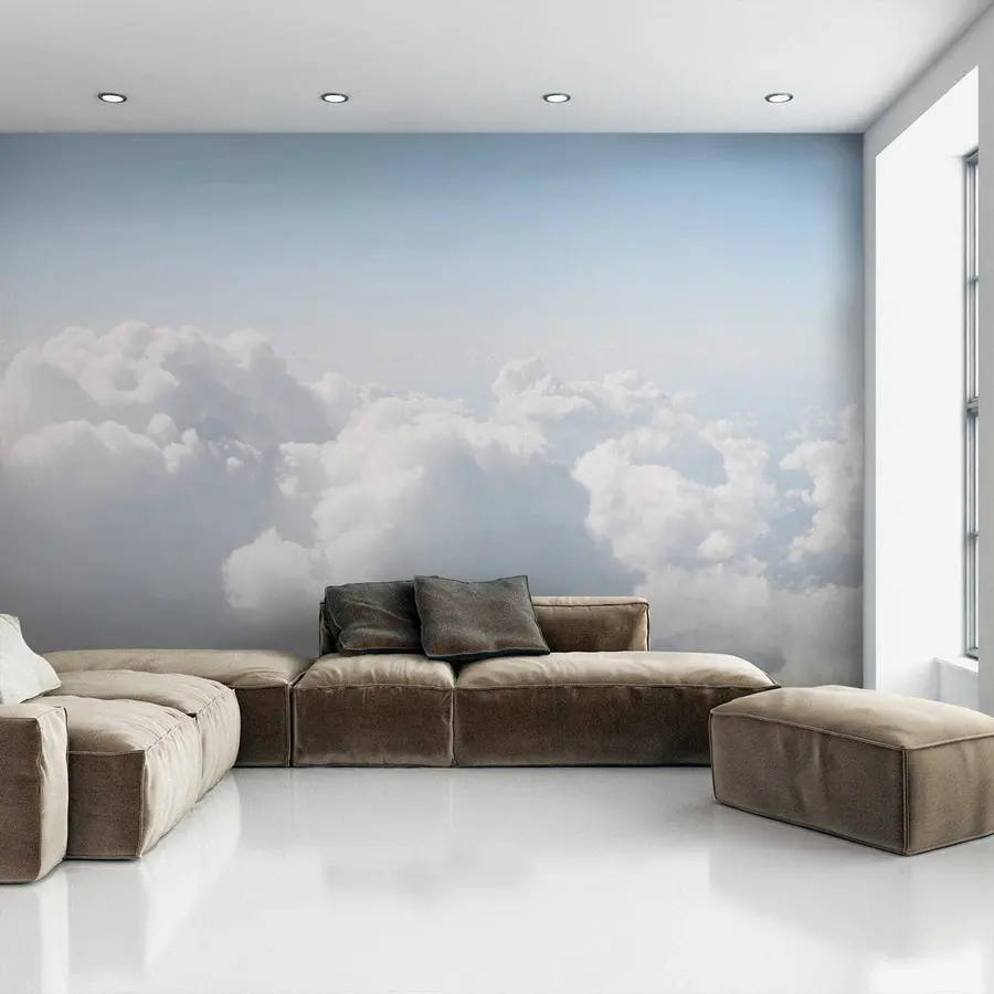 murales de pared Vuelo en las nubes u35954