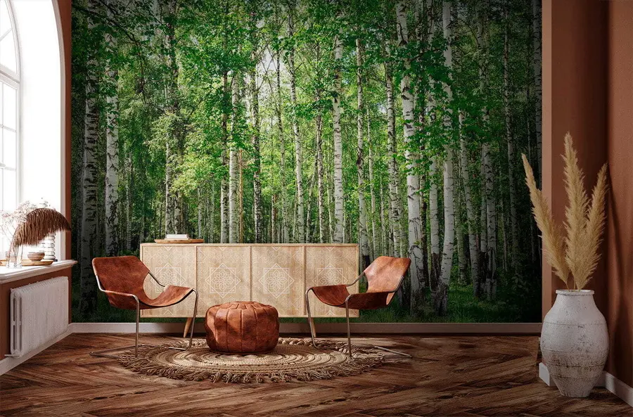 murales de pared Bosque de abedules u52530