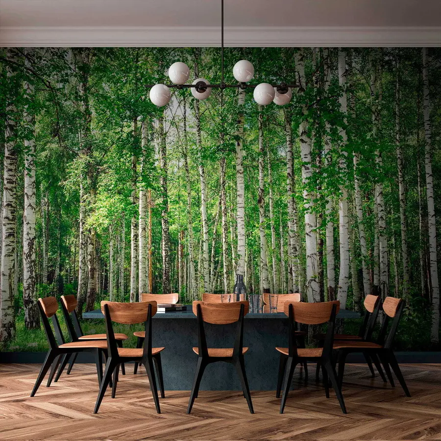 murales de pared Bosque de abedules u52530
