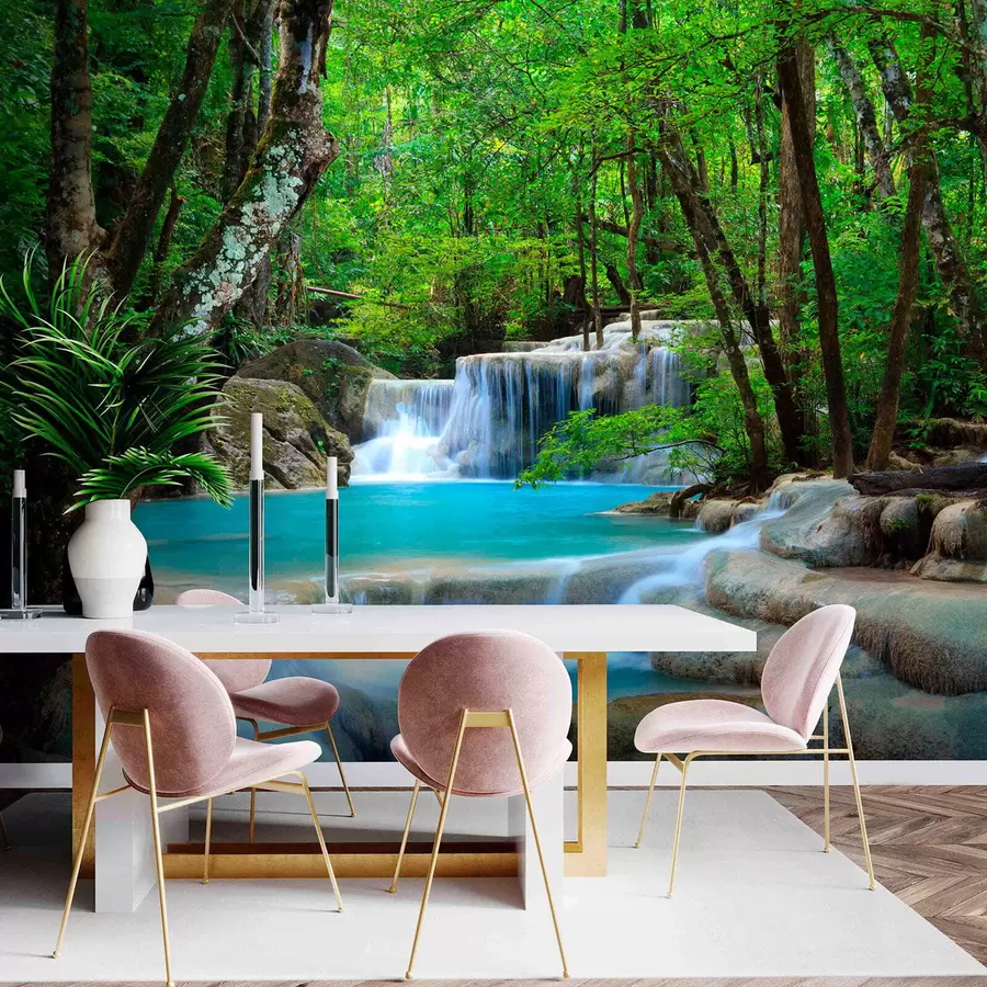 murales de pared Rápidos de cascada en el bosque u54260