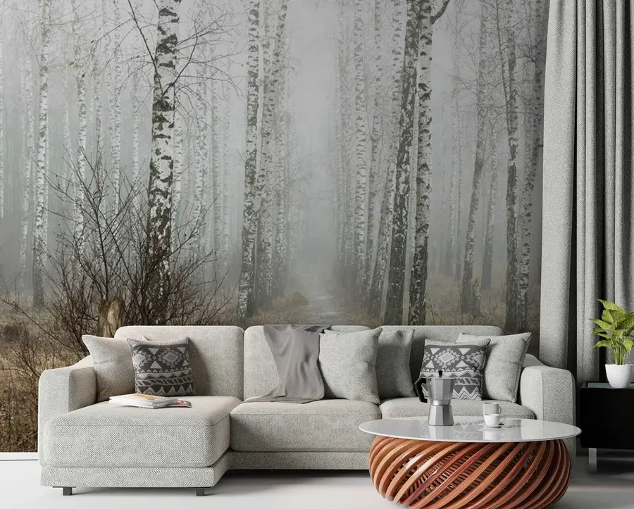 murales de pared Abedules en la niebla u58950