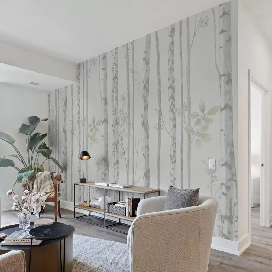 murales de pared Bosque de abedules u58974