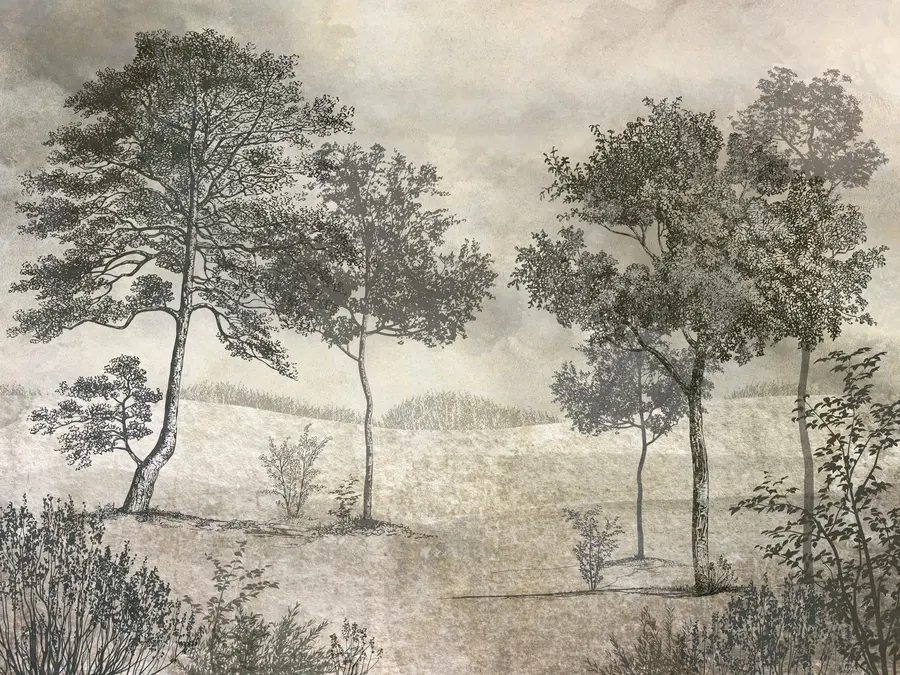 murales de pared árboles antiguos u80030