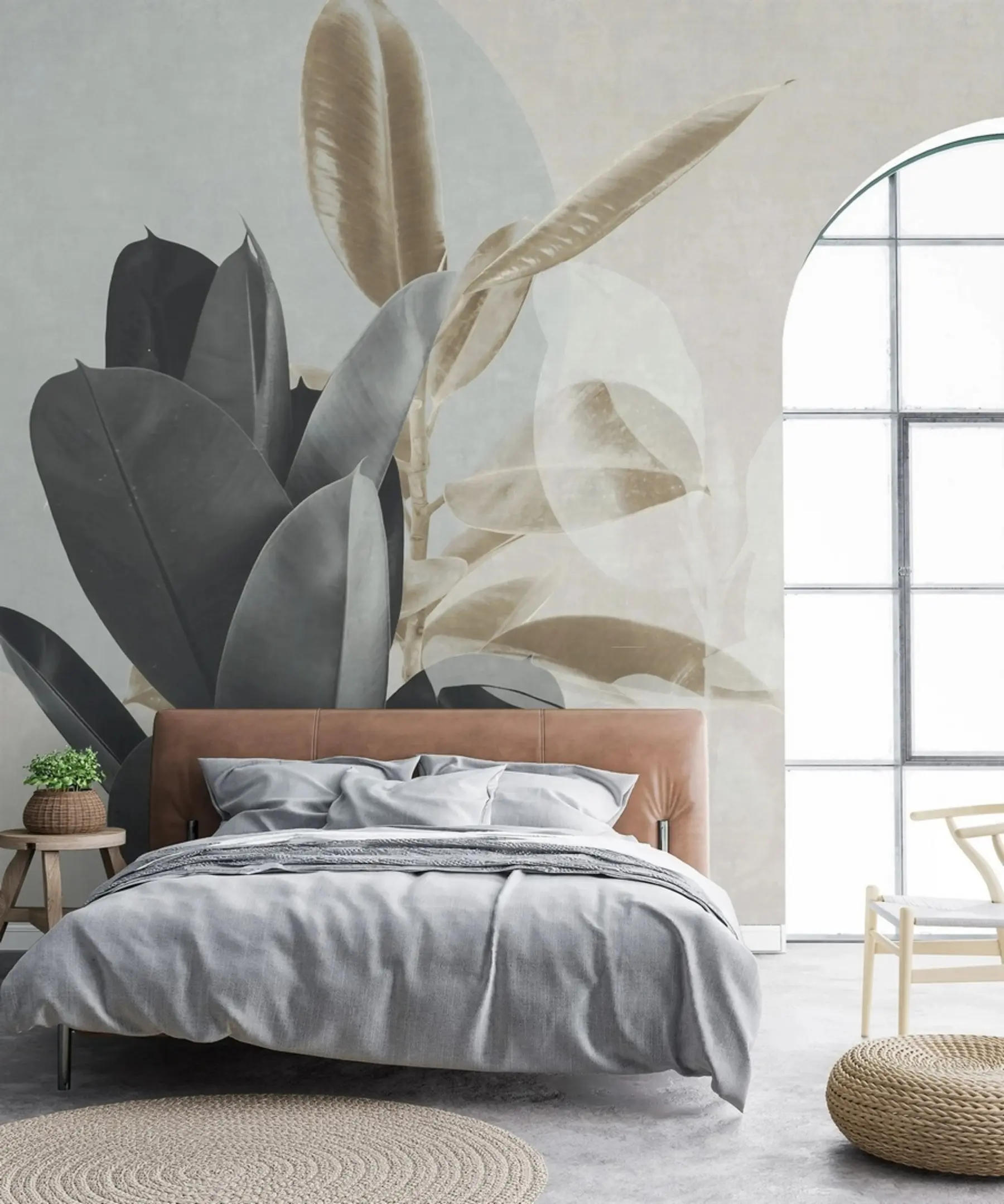 murales de pared Ficus sobre fondo de pared grunge u71334