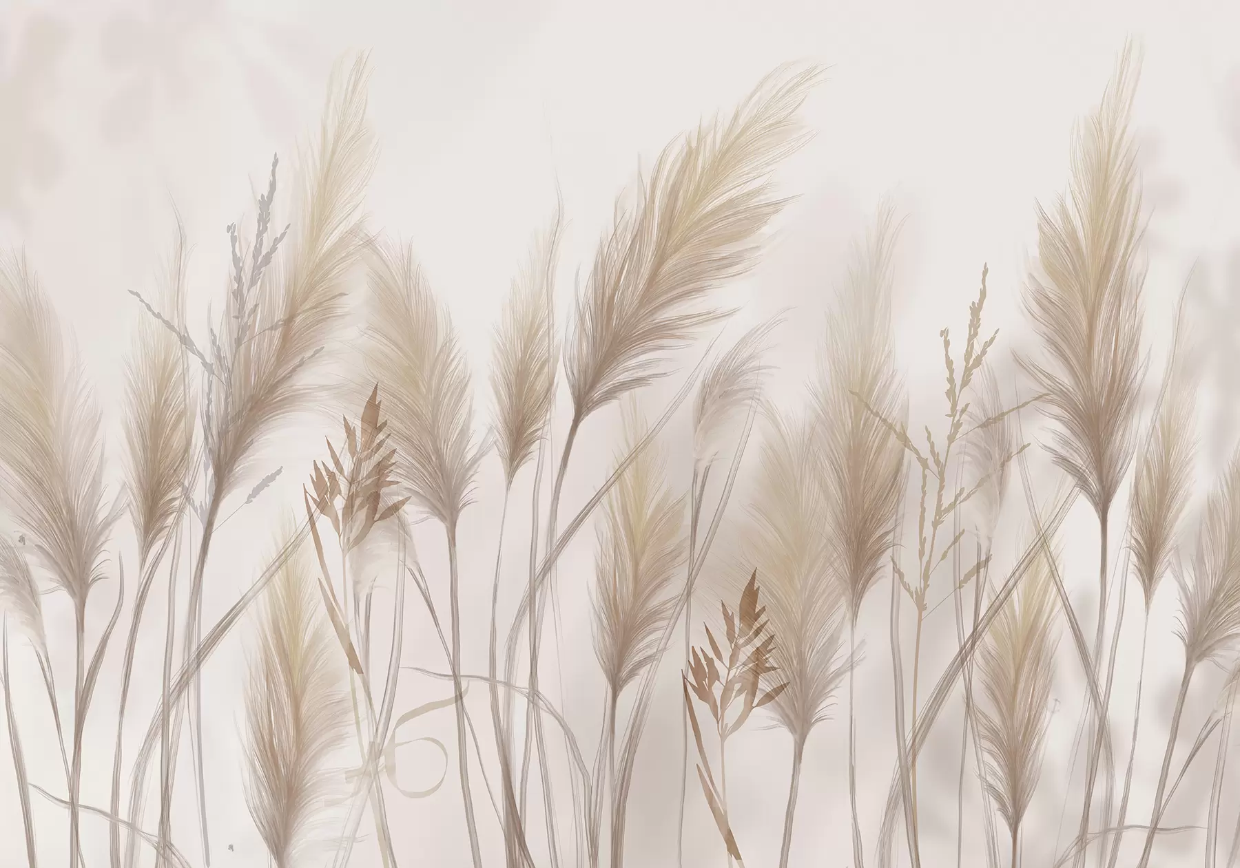 murales de pared Altas espiguillas de hierba beige mecidas por el viento sobre un fondo suave y claro w08268