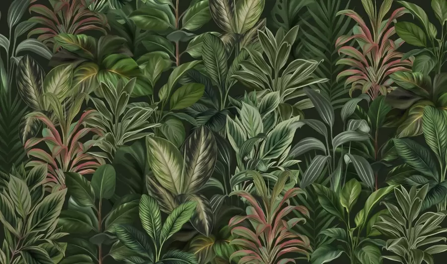 murales de pared Espeso follaje tropical verde w02126