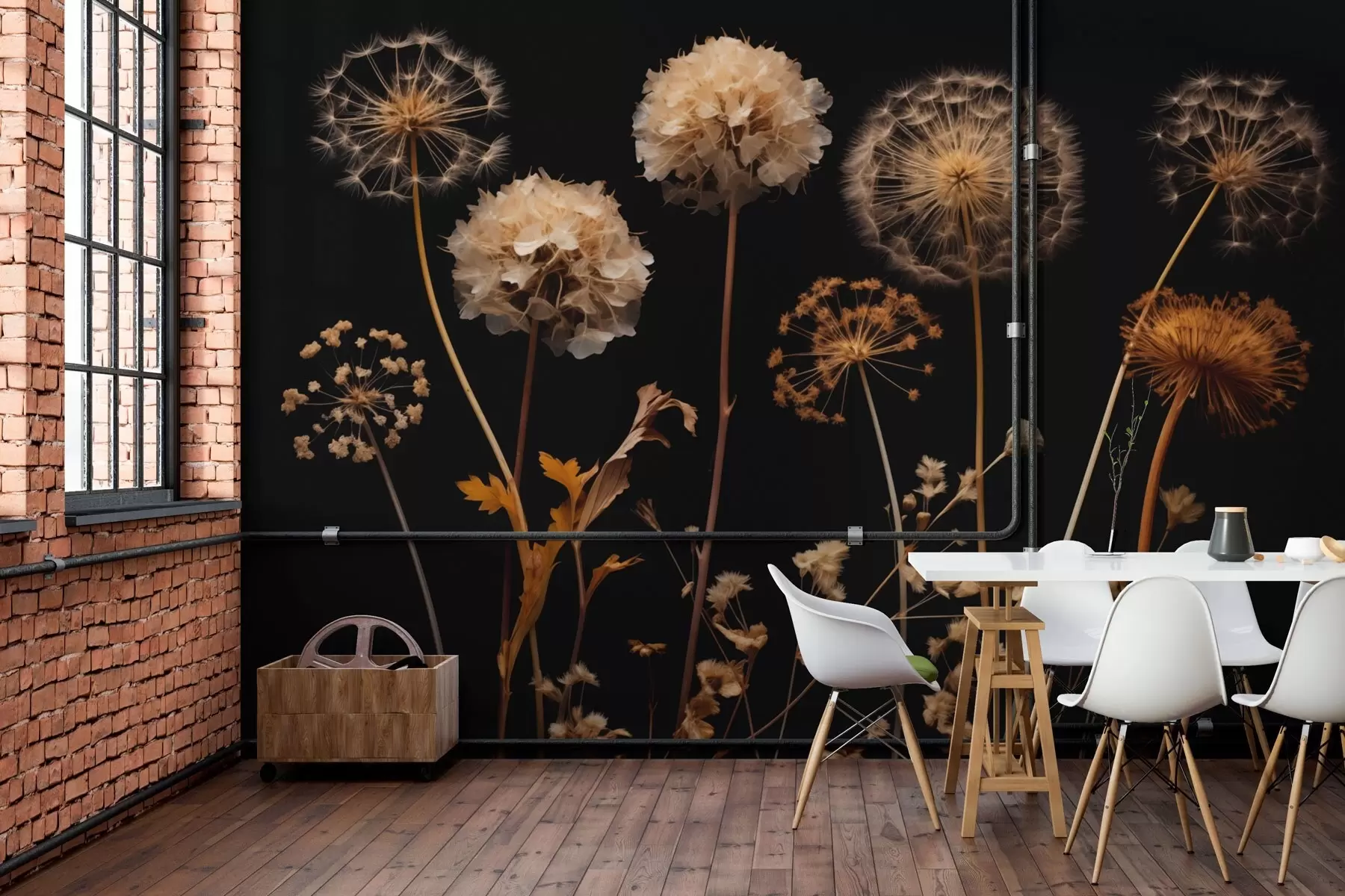 murales de pared Dientes de león sobre fondo oscuro w02251