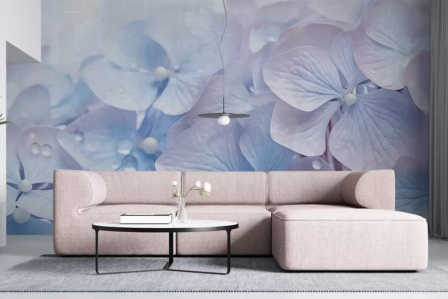 murales de pared Flores de hortensia azul y rosa con textura vintage y gotas de agua en los pétalos, fondo rosa difuminado w08981