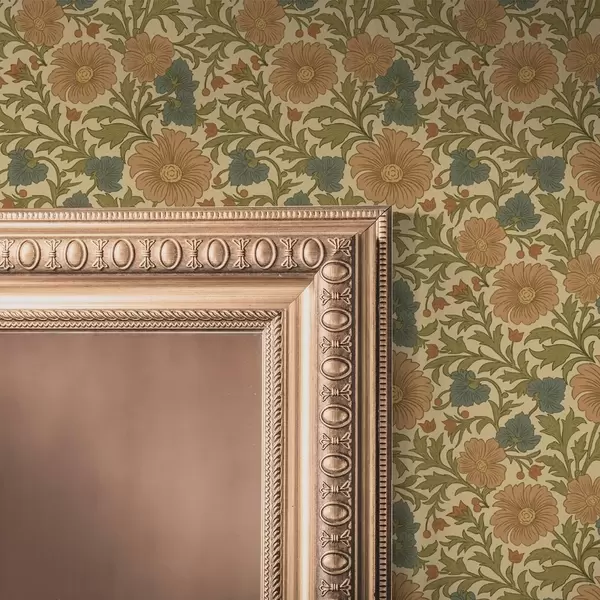 Últimas creaciones