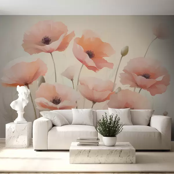Últimas creaciones