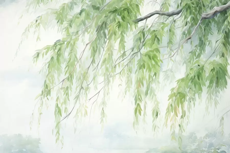 murales de pared Ramas de sauce llorón con hojas verdes colgando, pinceladas suaves y delicadas, estilo de pintura acuarela w09365