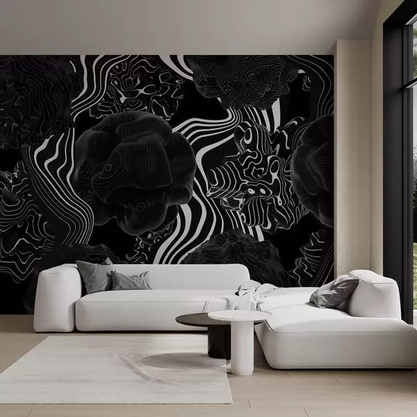 Últimas creaciones