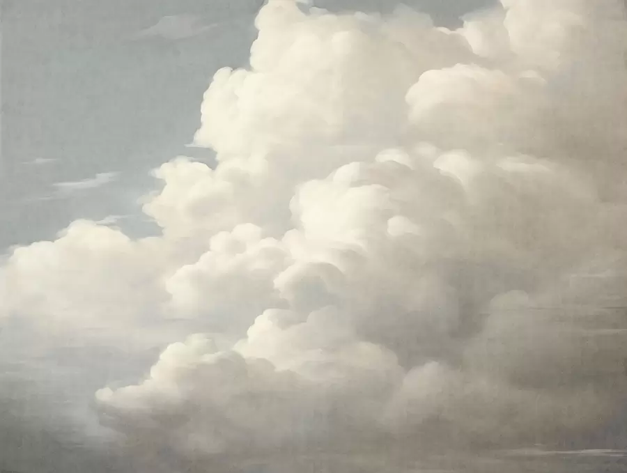 murales de pared Niebla perlada con suaves nubes cremosas que se deslizan por un cielo tranquilo w05855