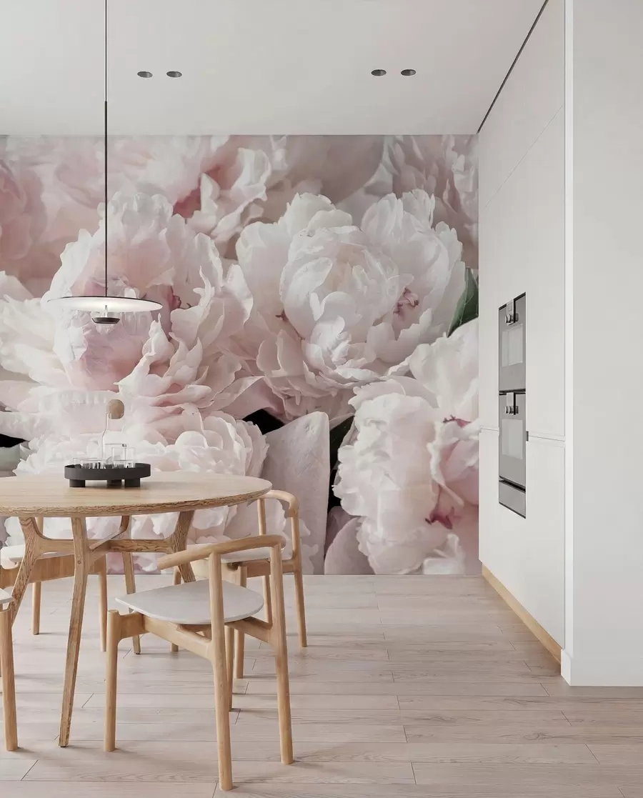 murales de pared Peonías de color rosa pálido u59600