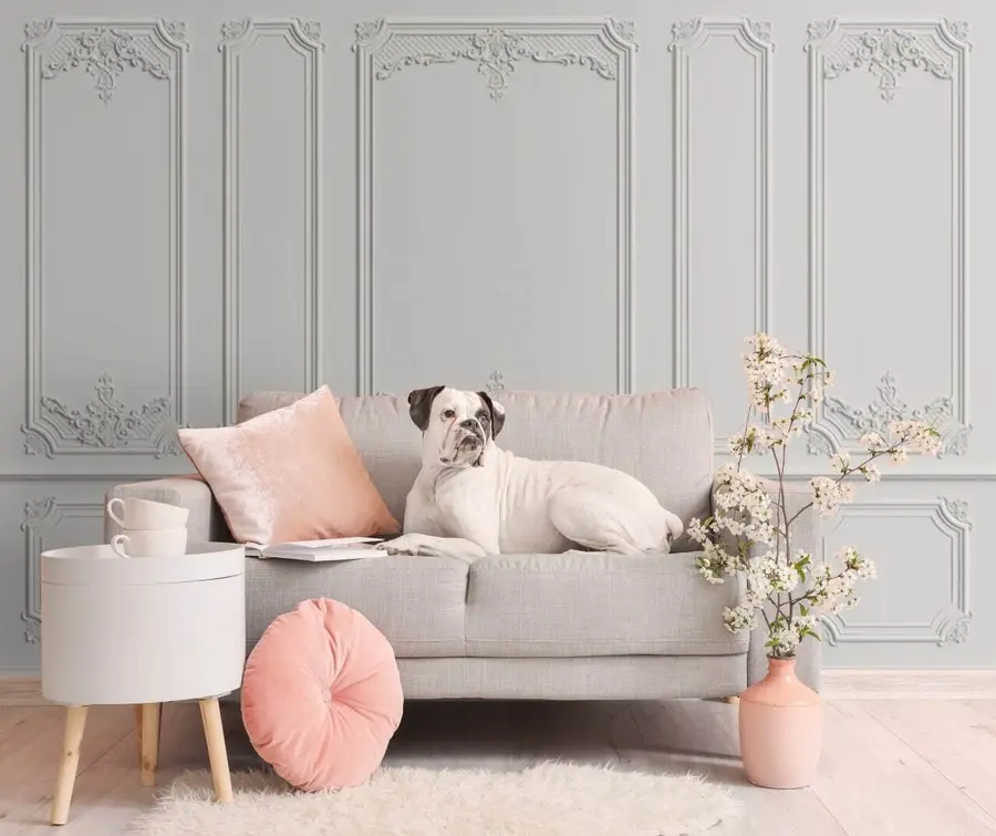 murales de pared Estilo clásico de pared buzeri francés u72611