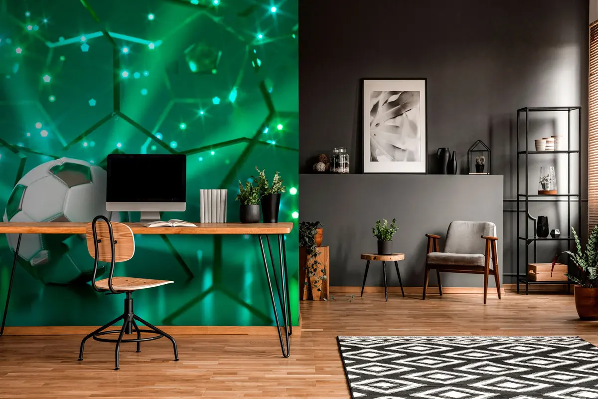 murales de pared Pelota sobre un hermoso fondo u72787