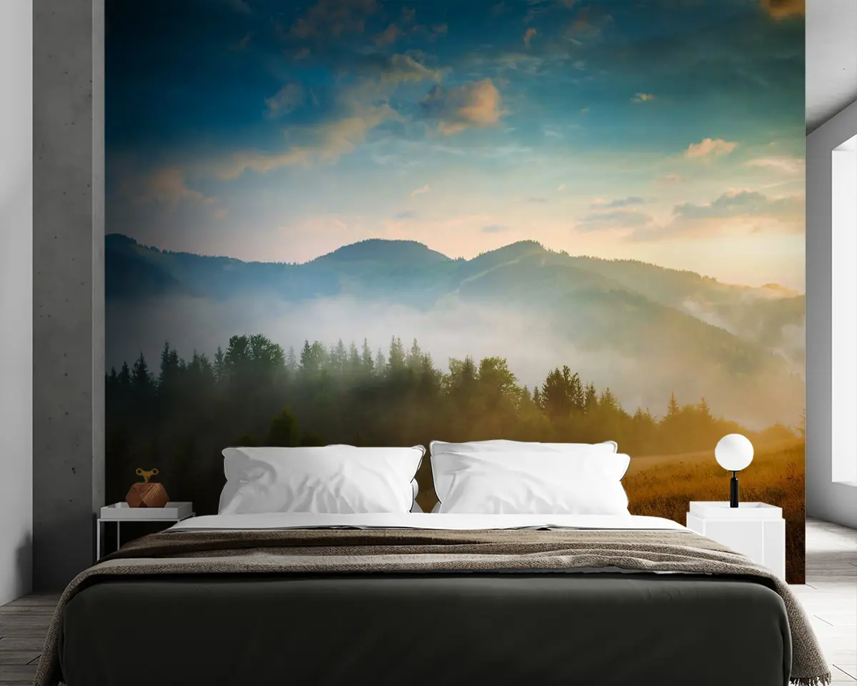 murales de pared Cielo, nube y planta u54619