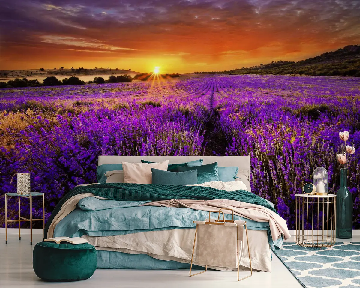 murales de pared Flor, nube y cielo u57609