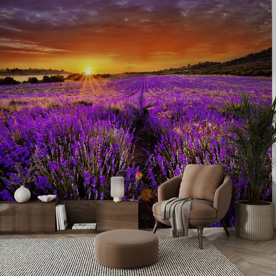 murales de pared Flor, nube y cielo u57609