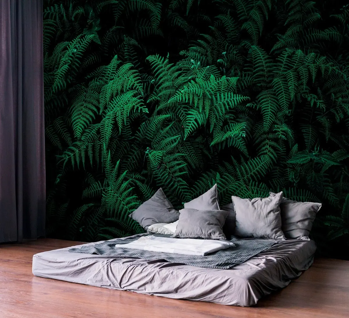 murales de pared helecho u73636