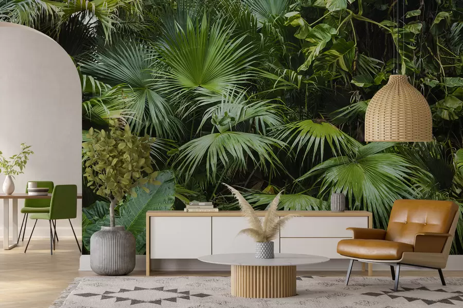 murales de pared Hojas mojadas en la selva u93616