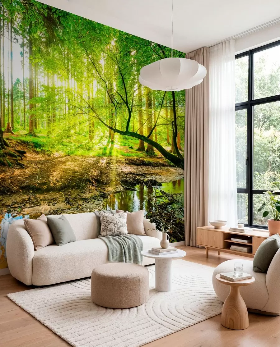 murales de pared Arroyo del bosque al sol u93621