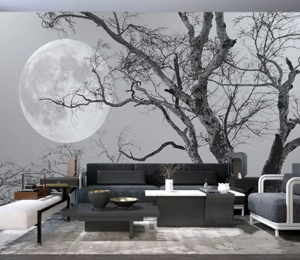 murales de pared Cielo, luna y mundo. u19208