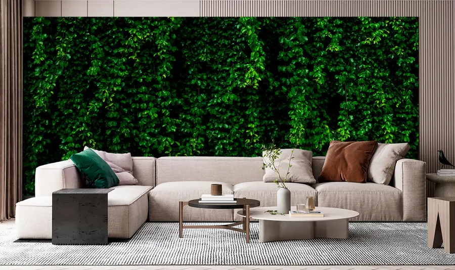 murales de pared hoja tropical verde oscuro u94381