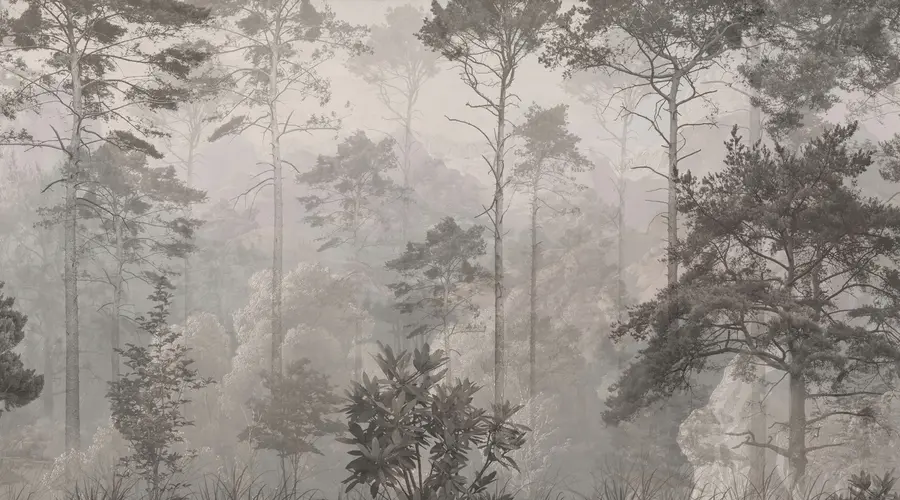 murales de pared Árboles altos en las colinas, bosque en la niebla u97190