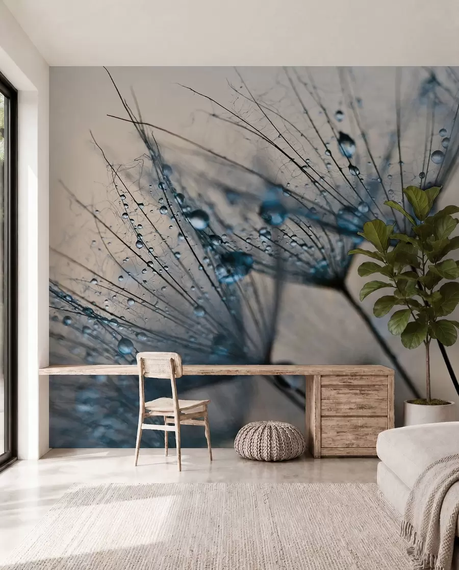 murales de pared Rocío de diente de león azul u57557v1