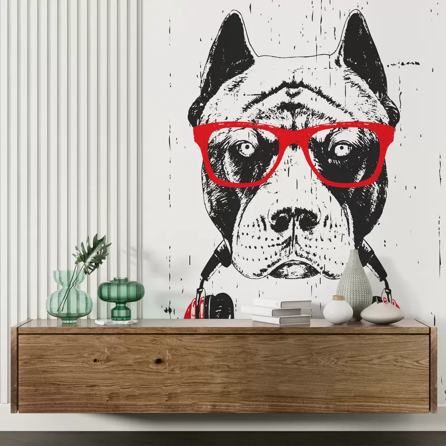 murales de pared Retrato de Pitbull con gafas y auriculares u98184