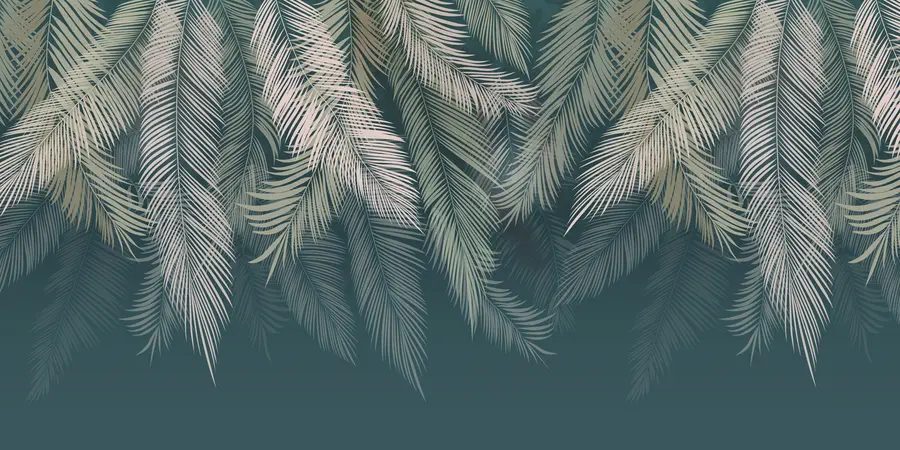 murales de pared Hojas de palmera sobre fondo verde oscuro u48556v2d2